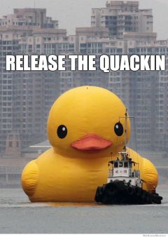 release-the-quackin-meme